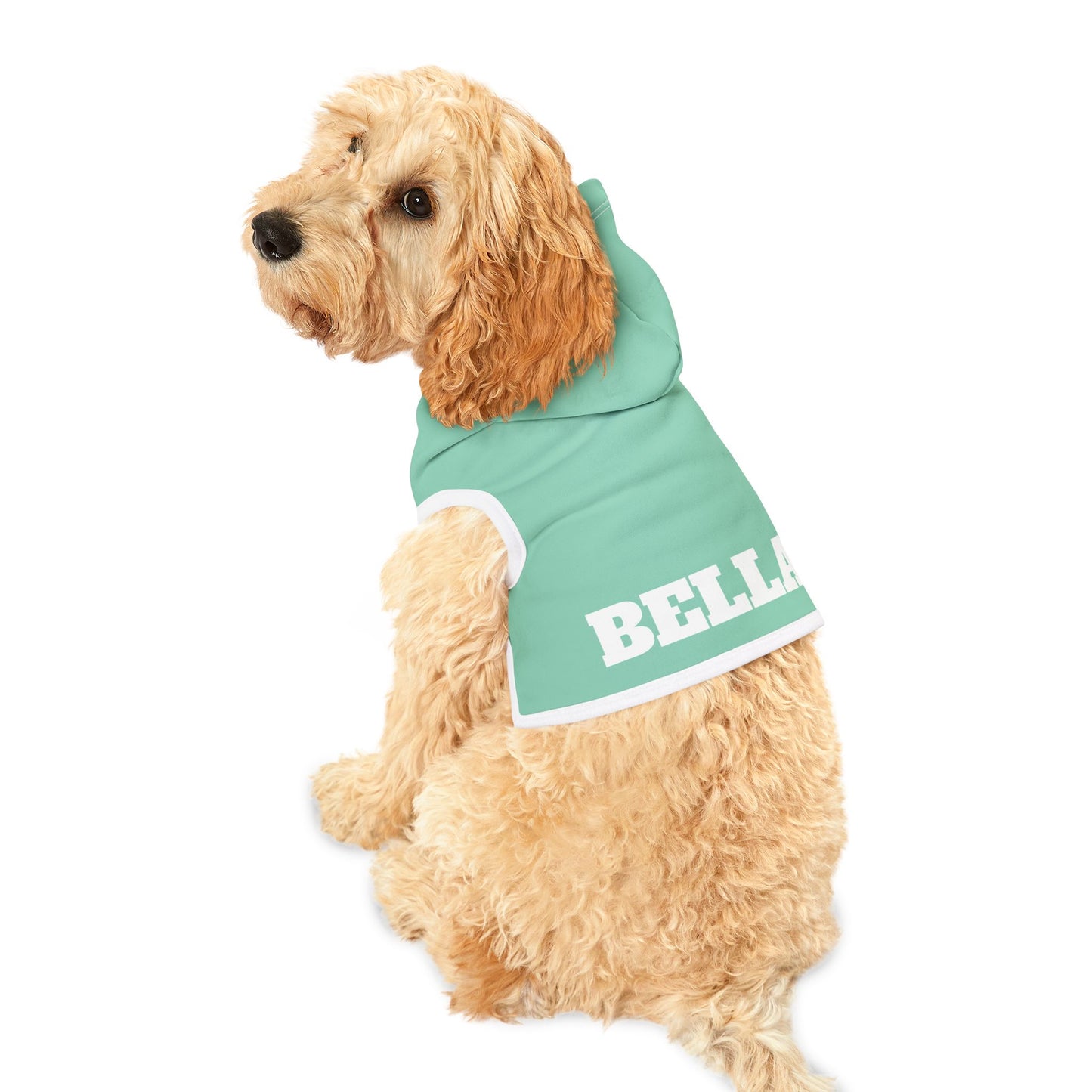 Custom Dog Hoodie with Name – 10 Bold Colors, 3 Sizes