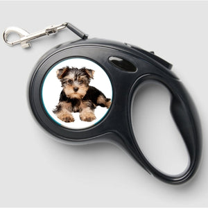 Custom Dog Photo Retractable Leash – Personalized Dog Accessory