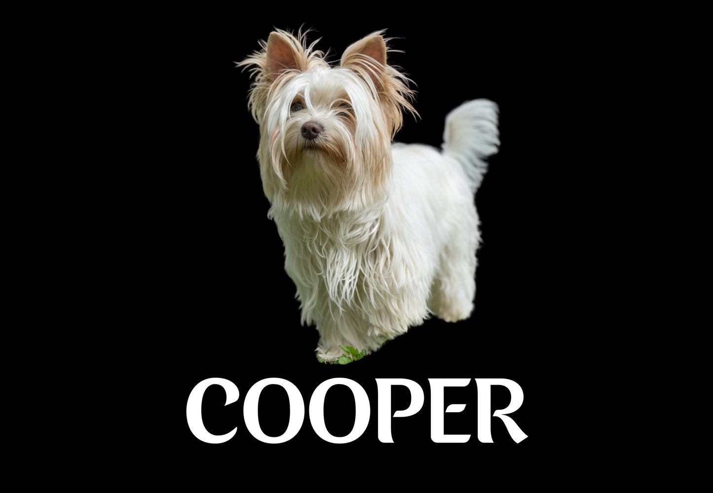 Custom Dog Placemat with Photo & Name – 12 Color Options