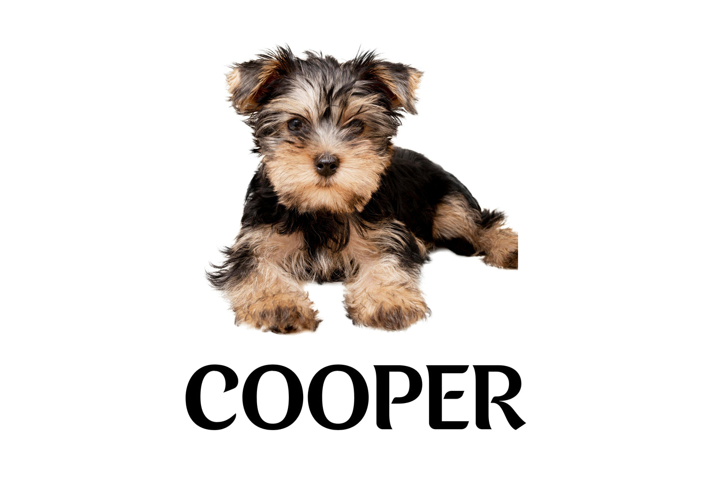 Custom Dog Placemat with Photo & Name – 12 Color Options