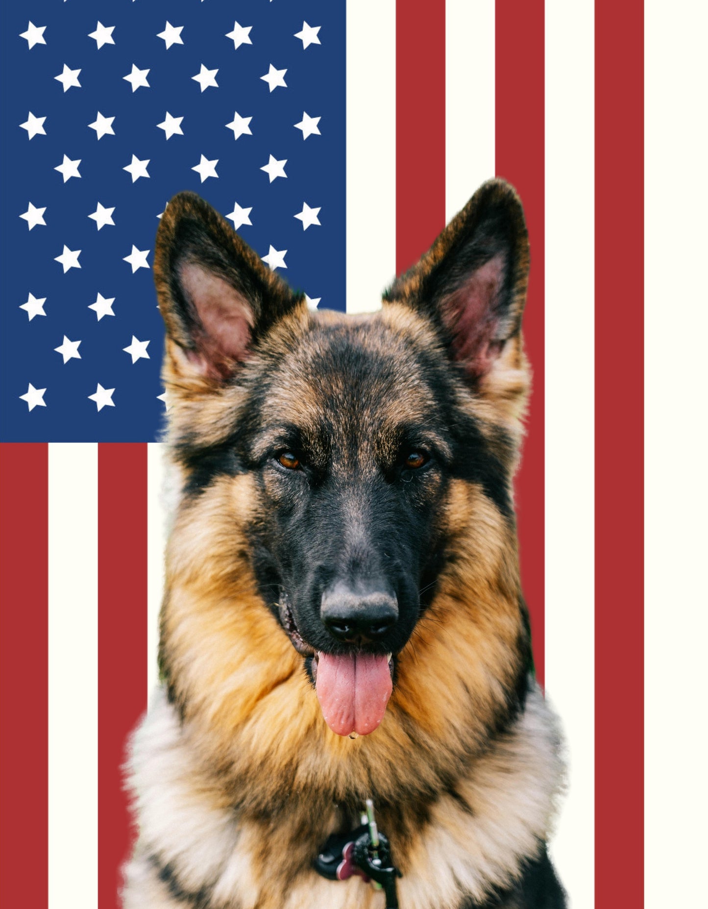 Custom Patriotic Dog Flag & Garden Banner – Your Dog's Photo on American Flag Background