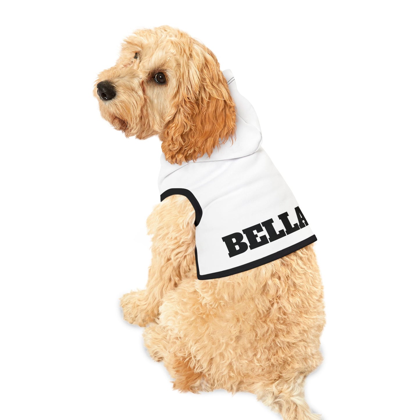 Custom Dog Hoodie with Name – 10 Bold Colors, 3 Sizes