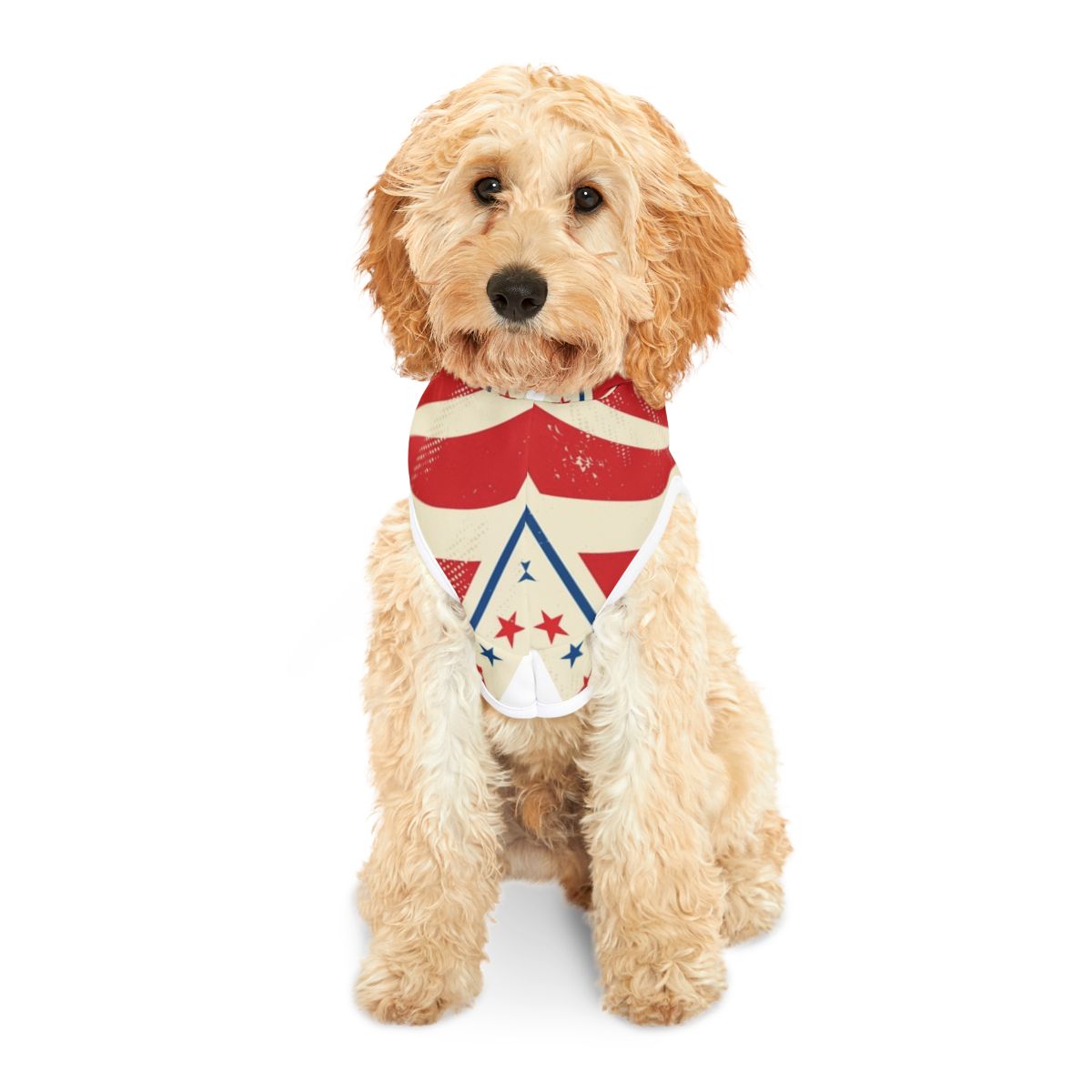 SuperPower Doggy - Dog Hoodie - Retro Design in 3 Sizes