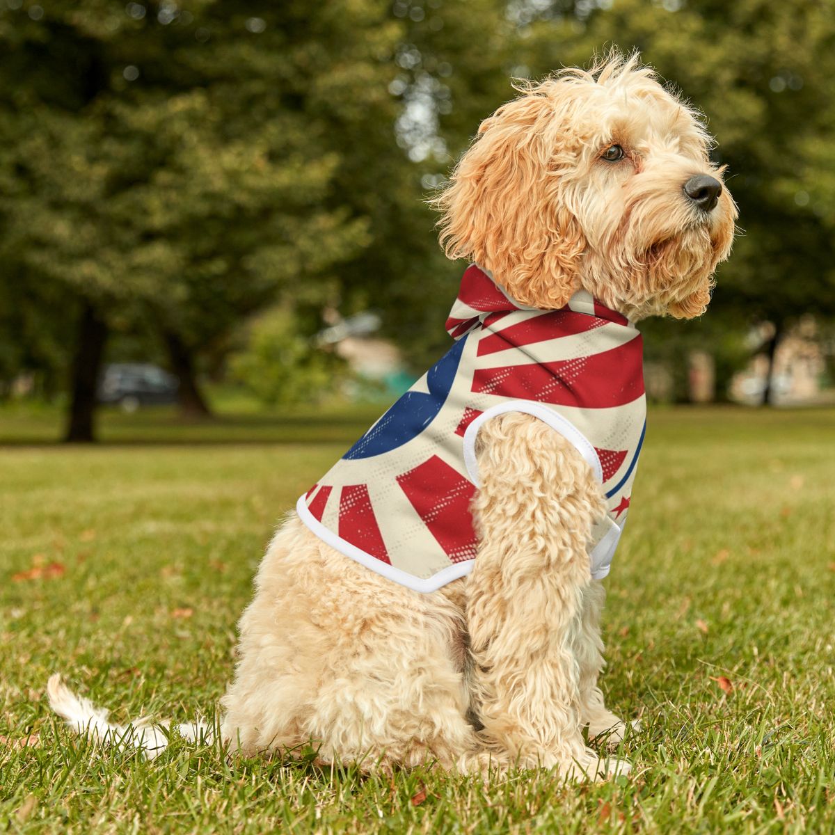 SuperPower Doggy - Dog Hoodie - Retro Design in 3 Sizes