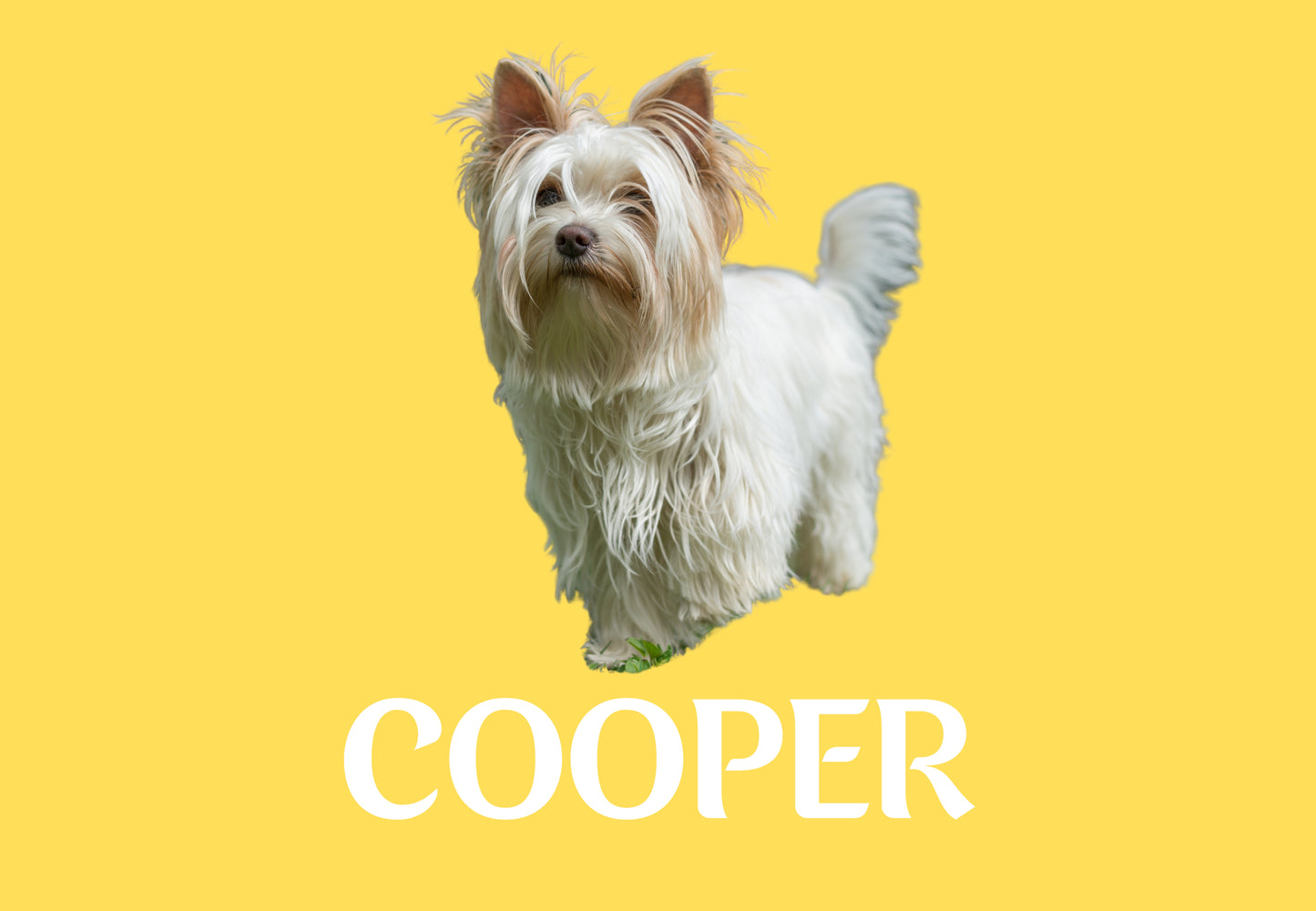 Custom Dog Placemat with Photo & Name – 12 Color Options