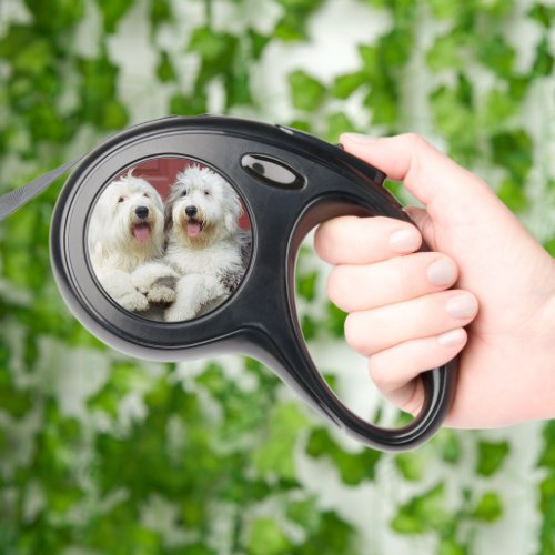 Custom Dog Photo Retractable Leash – Personalized Dog Accessory
