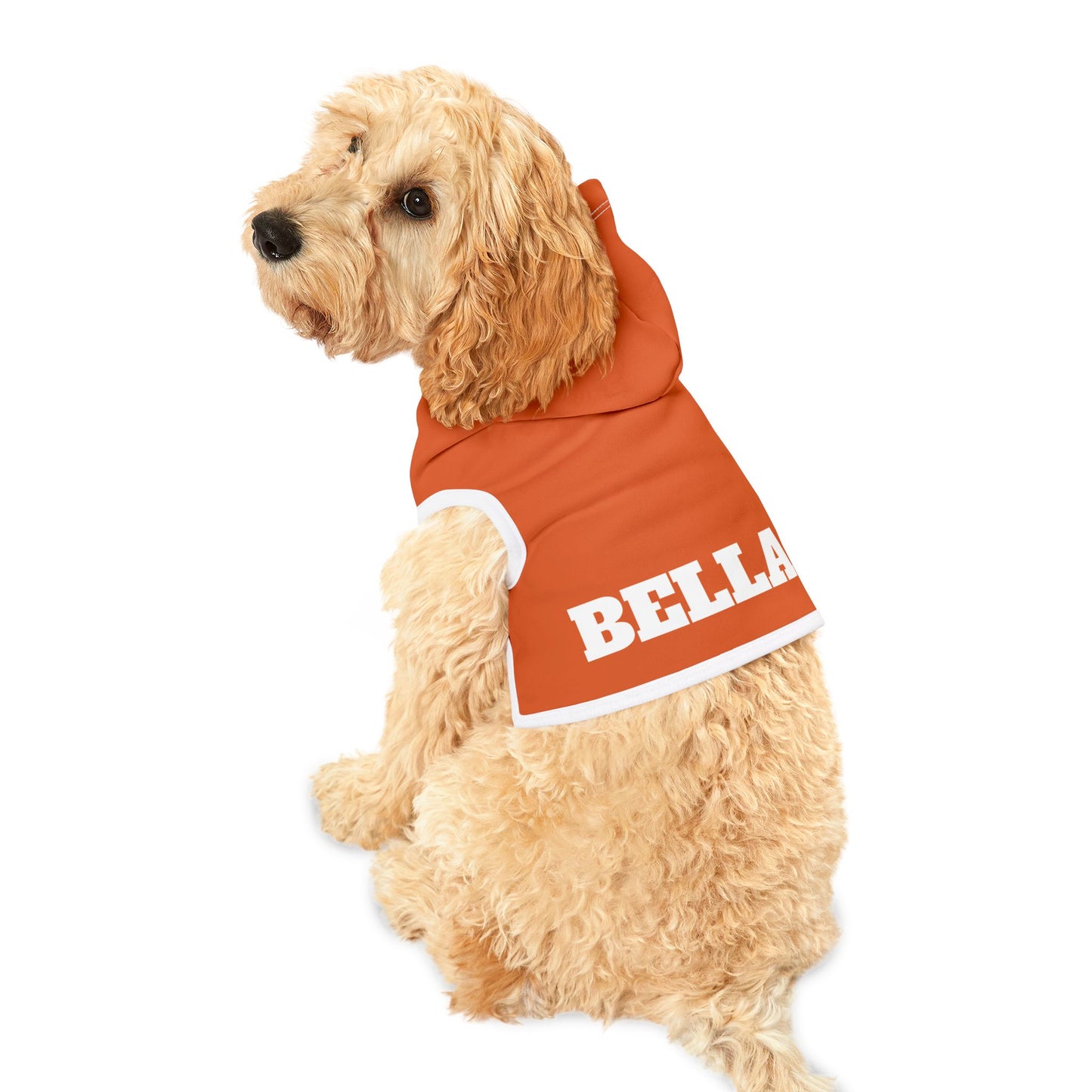 Custom Dog Hoodie with Name – 10 Bold Colors, 3 Sizes