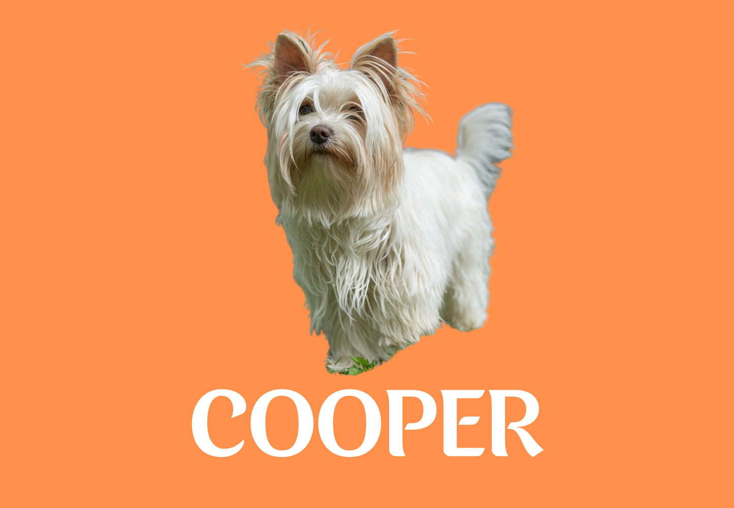 Custom Dog Placemat with Photo & Name – 12 Color Options