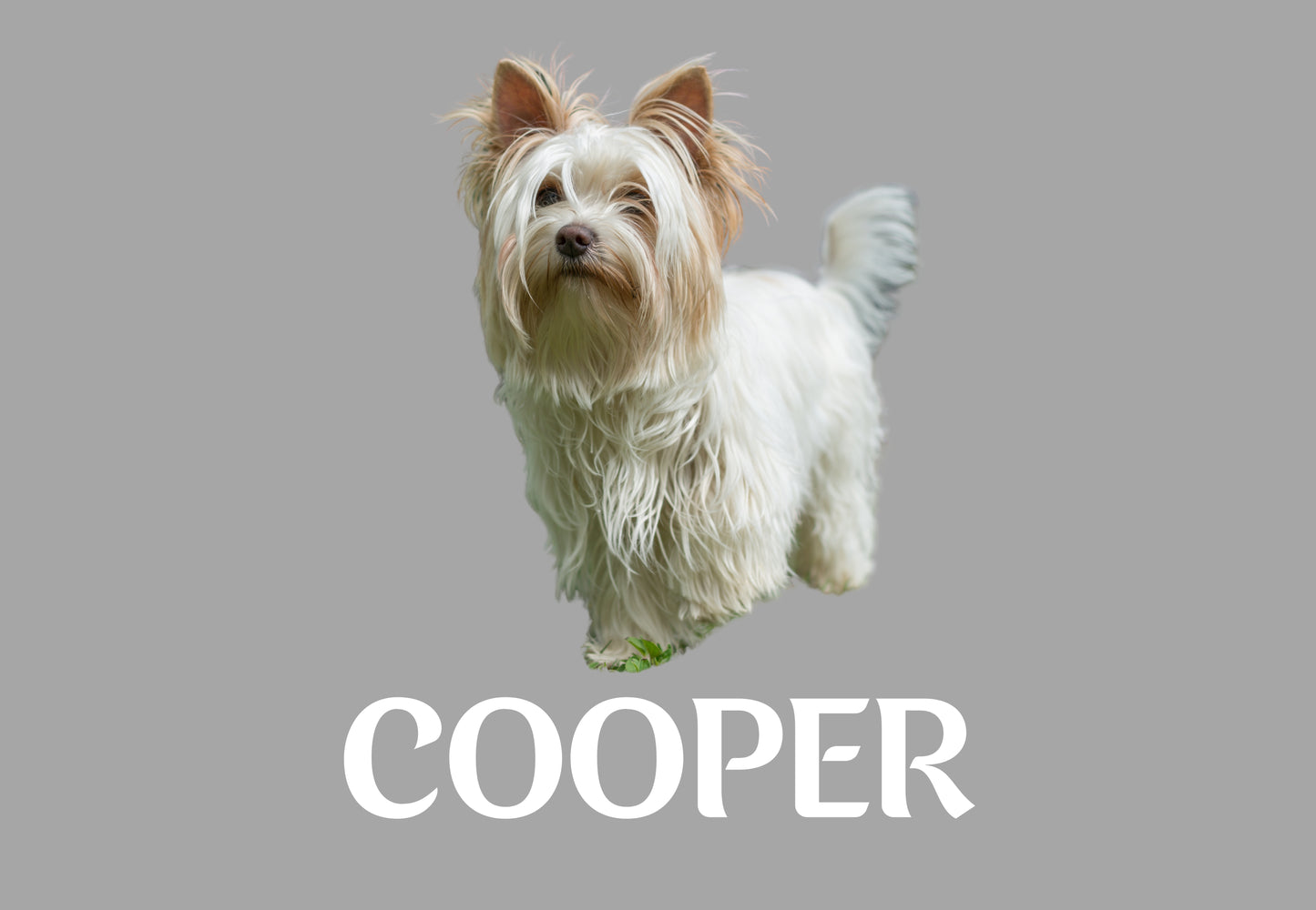Custom Dog Placemat with Photo & Name – 12 Color Options