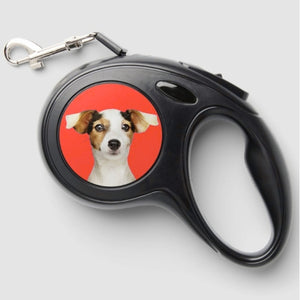 Custom Dog Photo Retractable Leash – Personalized Dog Accessory