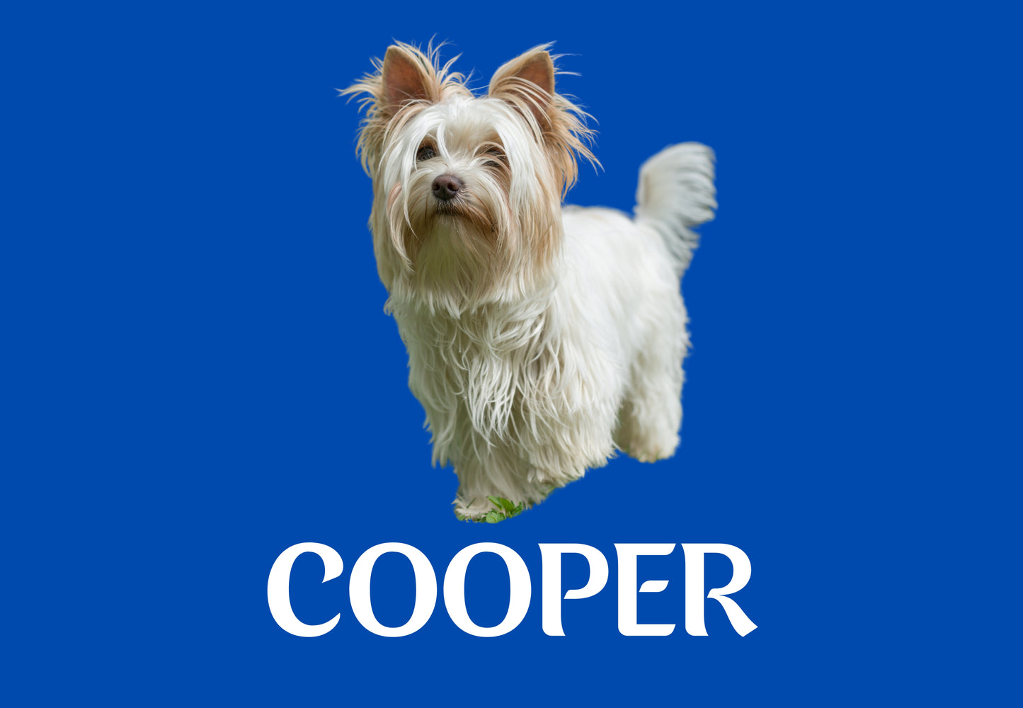 Custom Dog Placemat with Photo & Name – 12 Color Options