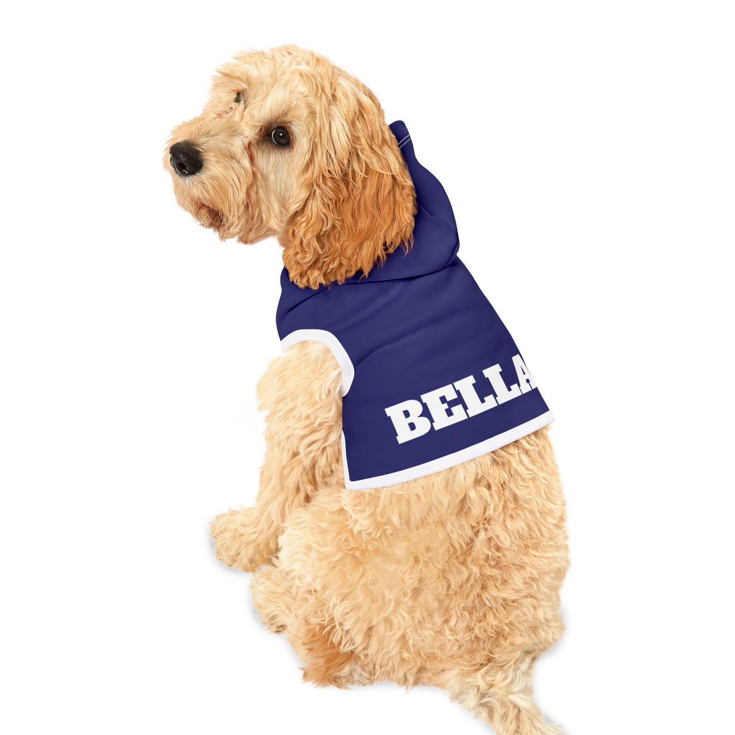 Custom Dog Hoodie with Name – 10 Bold Colors, 3 Sizes