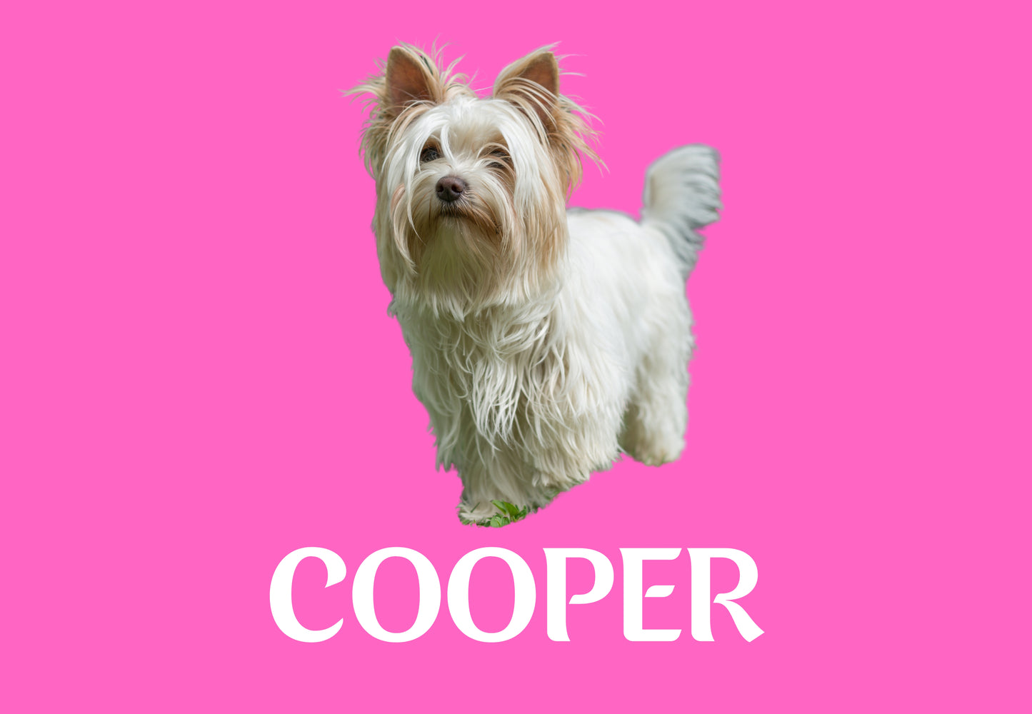 Custom Dog Placemat with Photo & Name – 12 Color Options