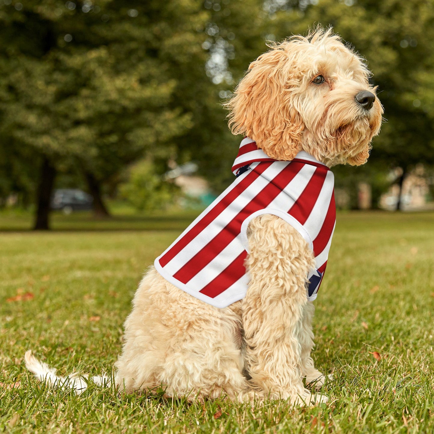 Stars & Stripes Dog Hoodie – Bold Flag-Inspired Design in 3 Sizes