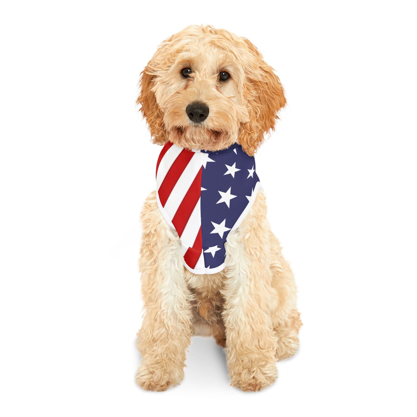 Stars & Stripes Dog Hoodie – Bold Flag-Inspired Design in 3 Sizes