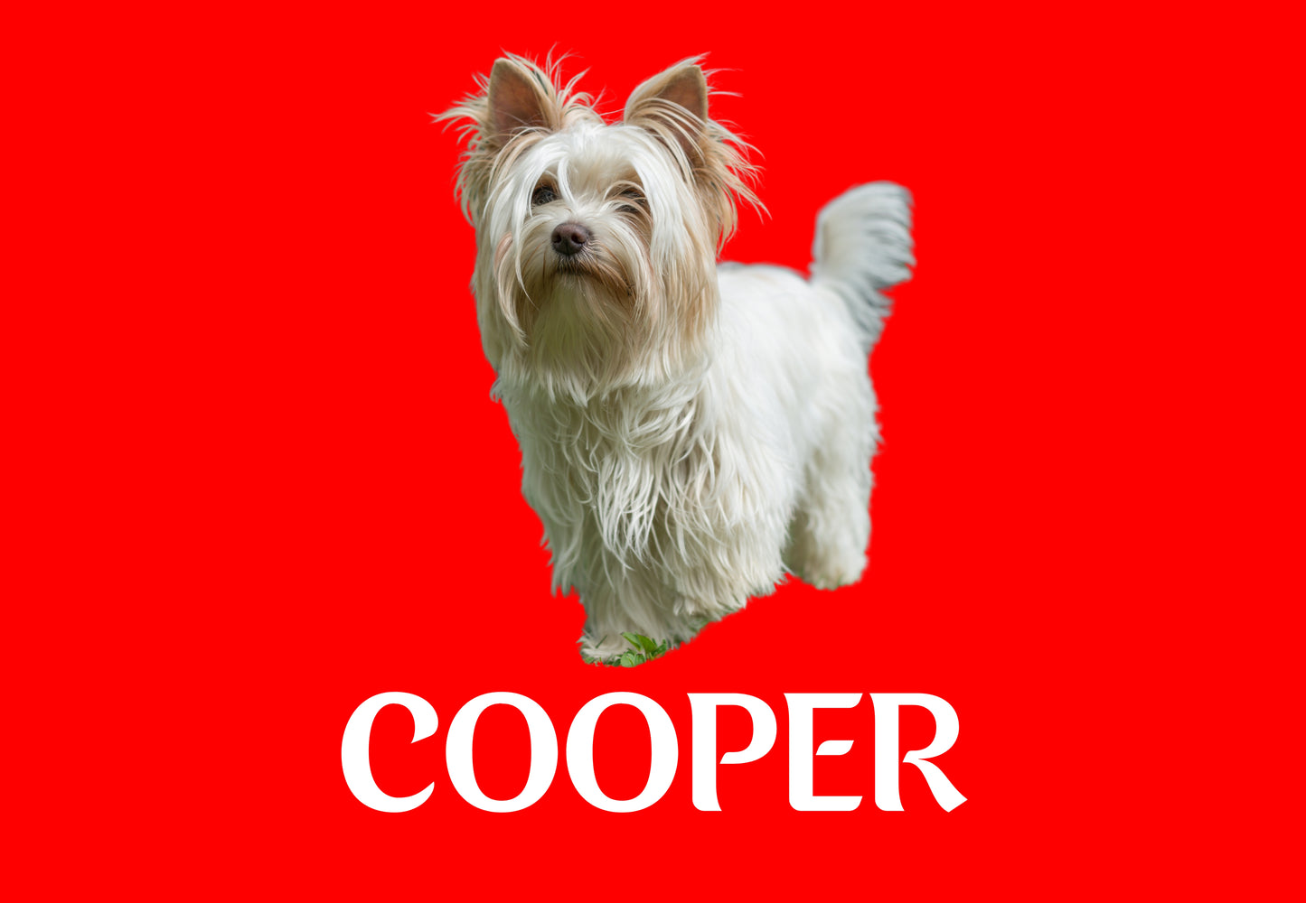 Custom Dog Placemat with Photo & Name – 12 Color Options