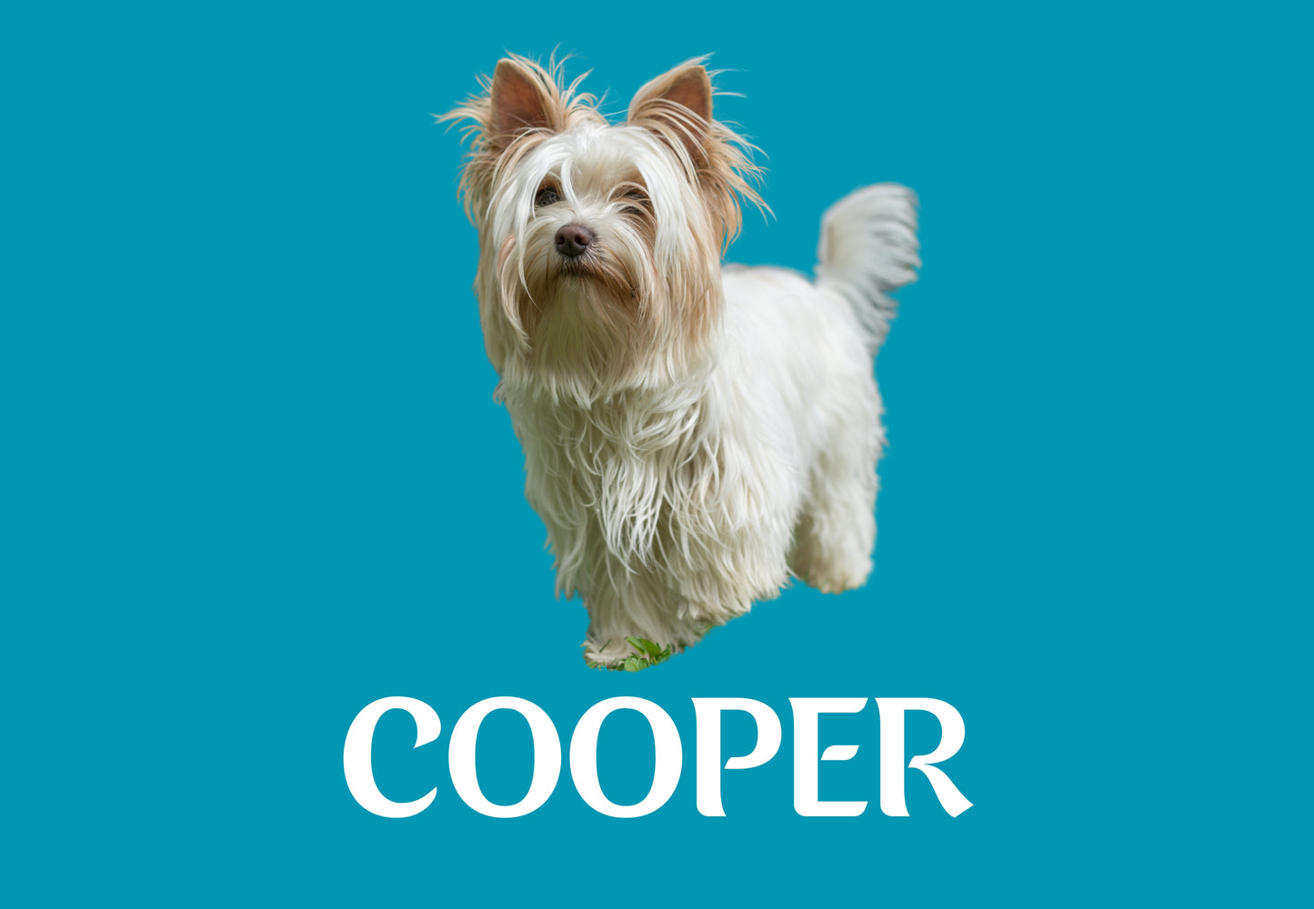 Custom Dog Placemat with Photo & Name – 12 Color Options