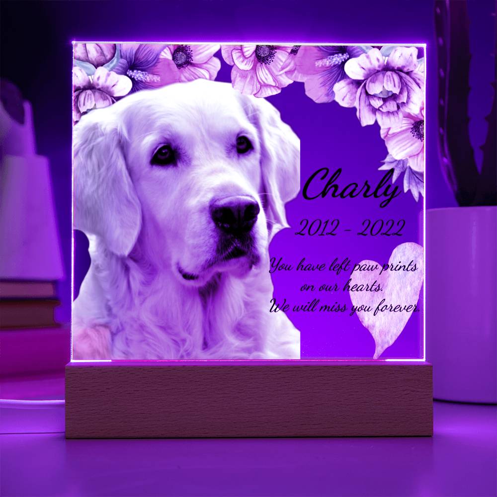 Custom Dog Memorial Plaque – Square Acrylic Keepsake with LED or Wooden Base
