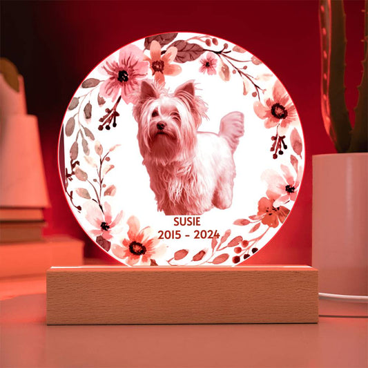 Decorative plaque with a dog's photo, floral design and red LED light on a wooden stand.