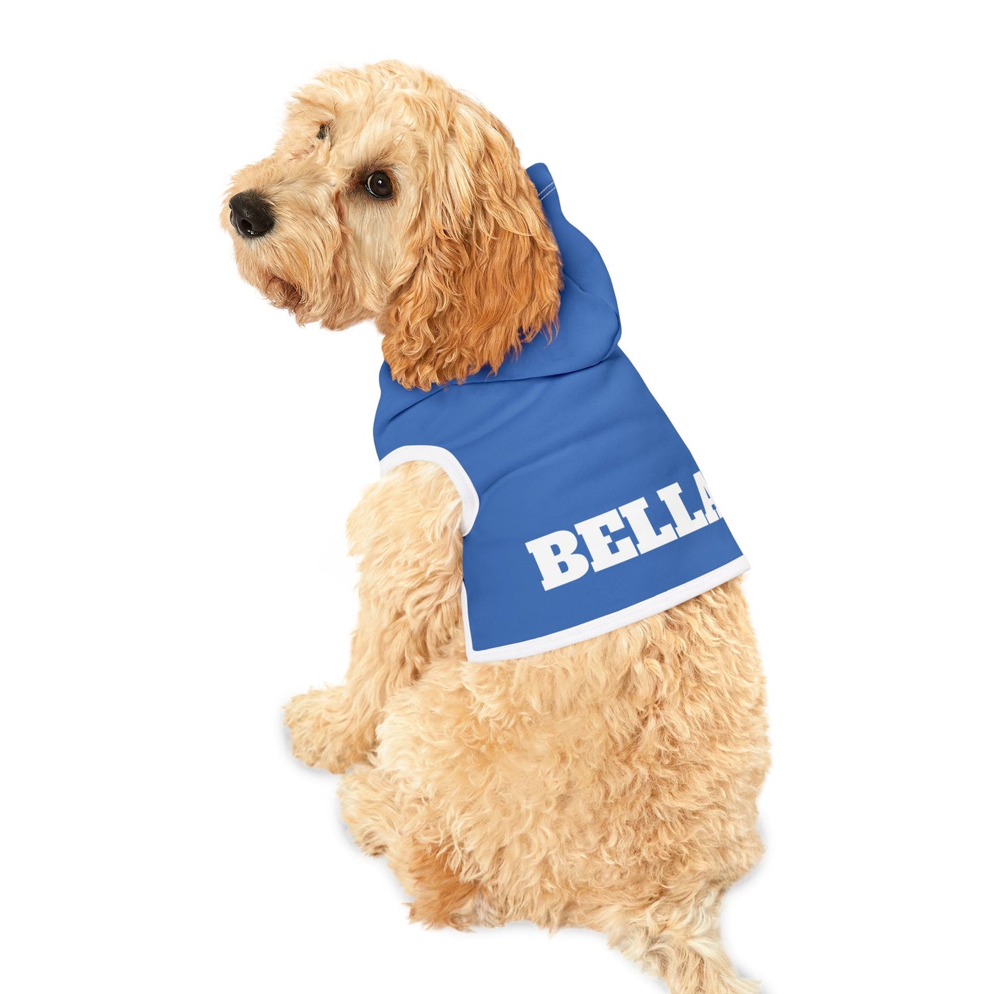 Custom Dog Hoodie with Name – 10 Bold Colors, 3 Sizes