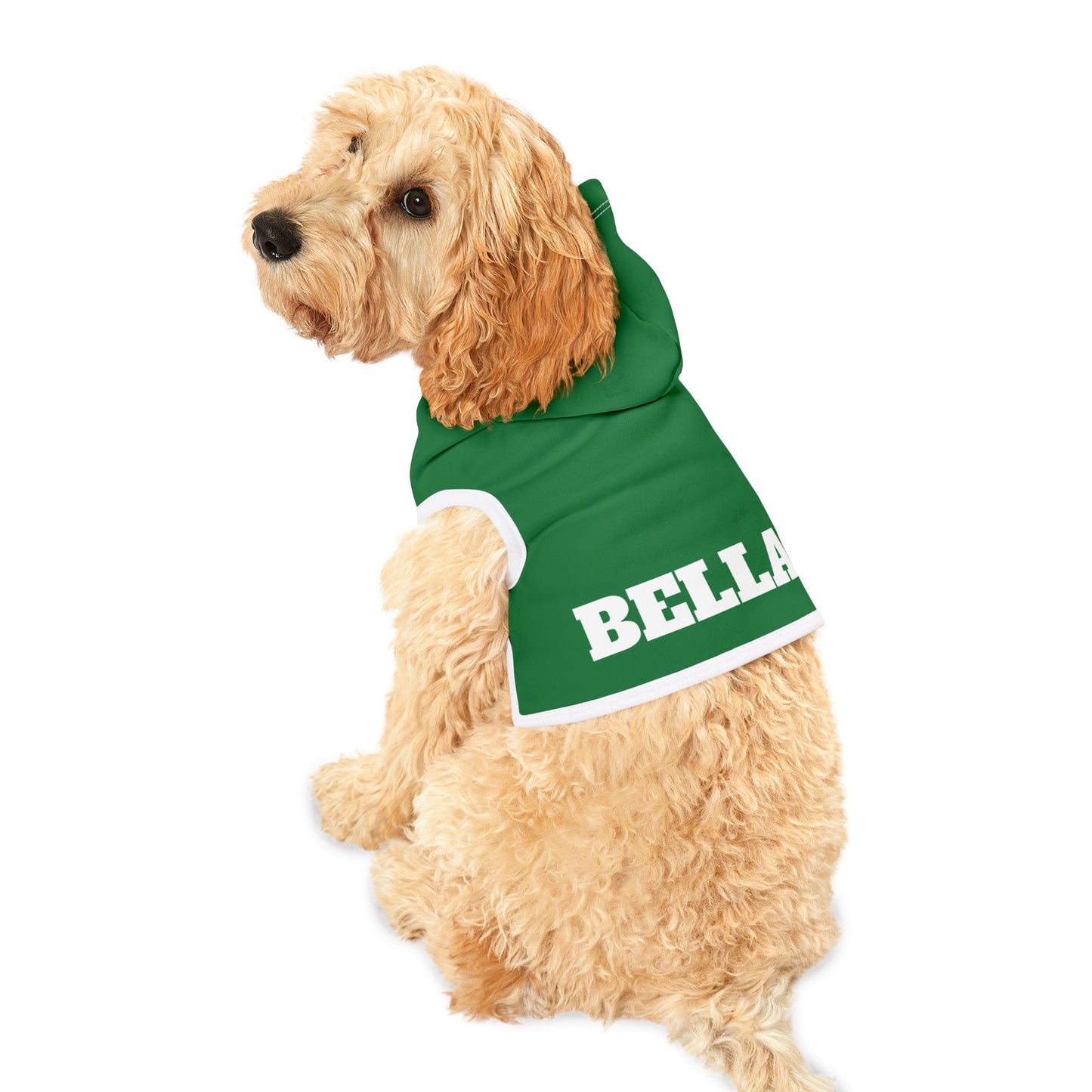 Custom Dog Hoodie with Name – 10 Bold Colors, 3 Sizes