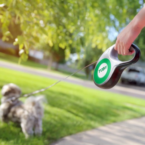 Custom Retractable Dog Leash – Personalized Name, 8 Color Options