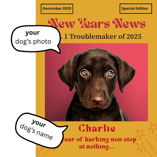 New Year’s News – Custom Dog Magazine Cover Poster