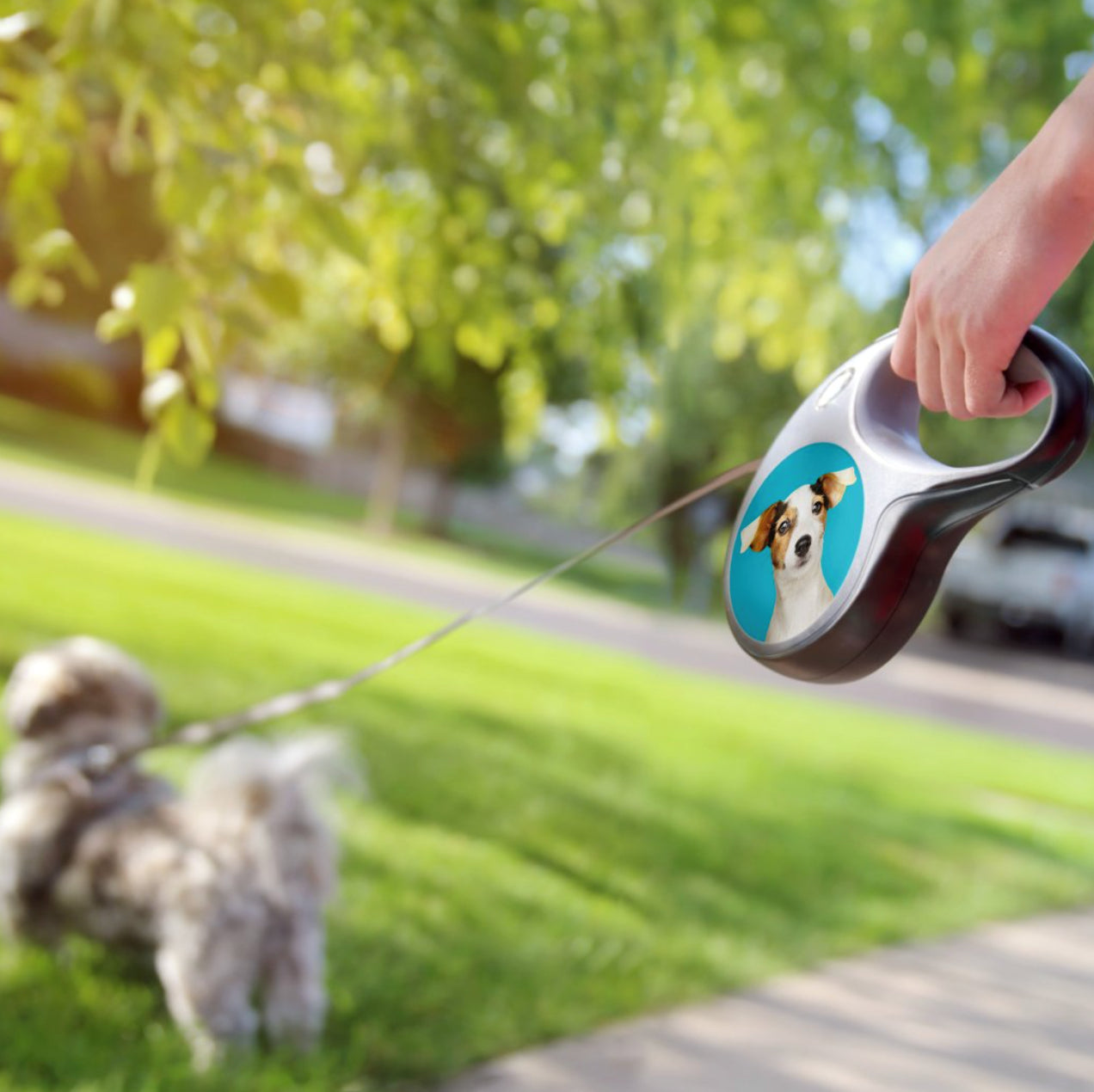 Custom Dog Photo Retractable Leash – Personalized Dog Accessory