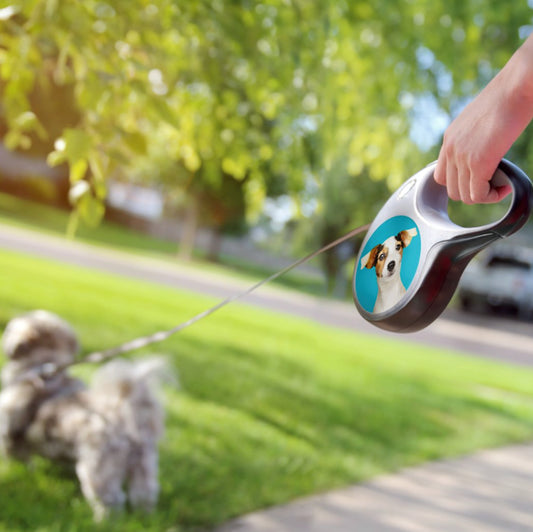 Custom Dog Photo Retractable Leash – Personalized Dog Accessory - 10 Color Options