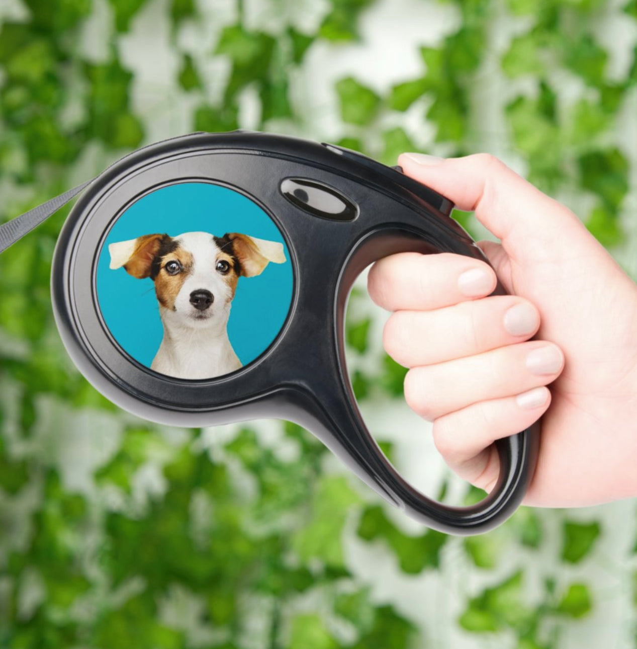 Custom Dog Photo Retractable Leash – Personalized Dog Accessory