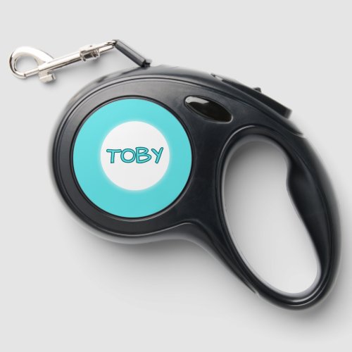 Custom Retractable Dog Leash – Personalized Name, 8 Color Options