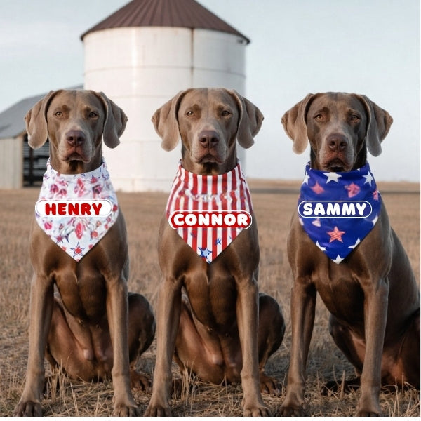 Dog Bandanas
