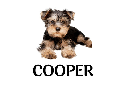 Custom Dog Placemat with Photo & Name – 12 Color Options