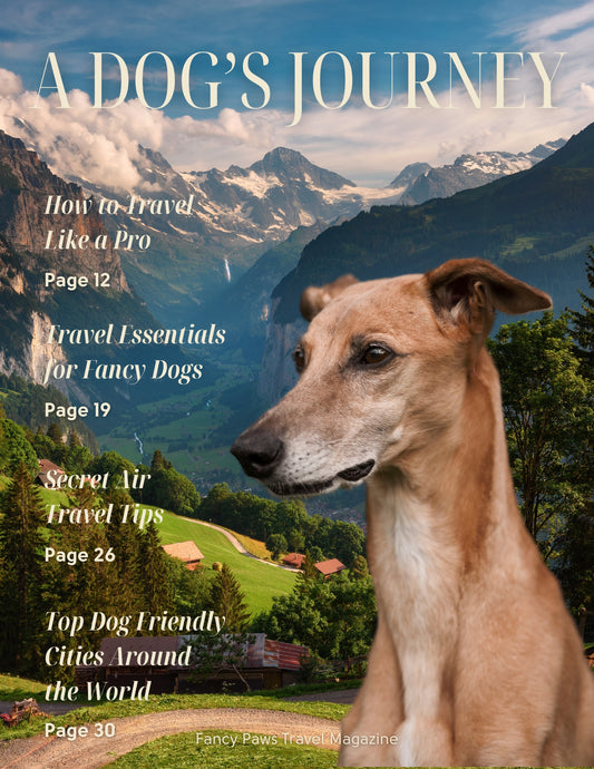 A Dog’s Journey - Custom Dog Magazine Cover - Poster or Canvas– Travel Magazine