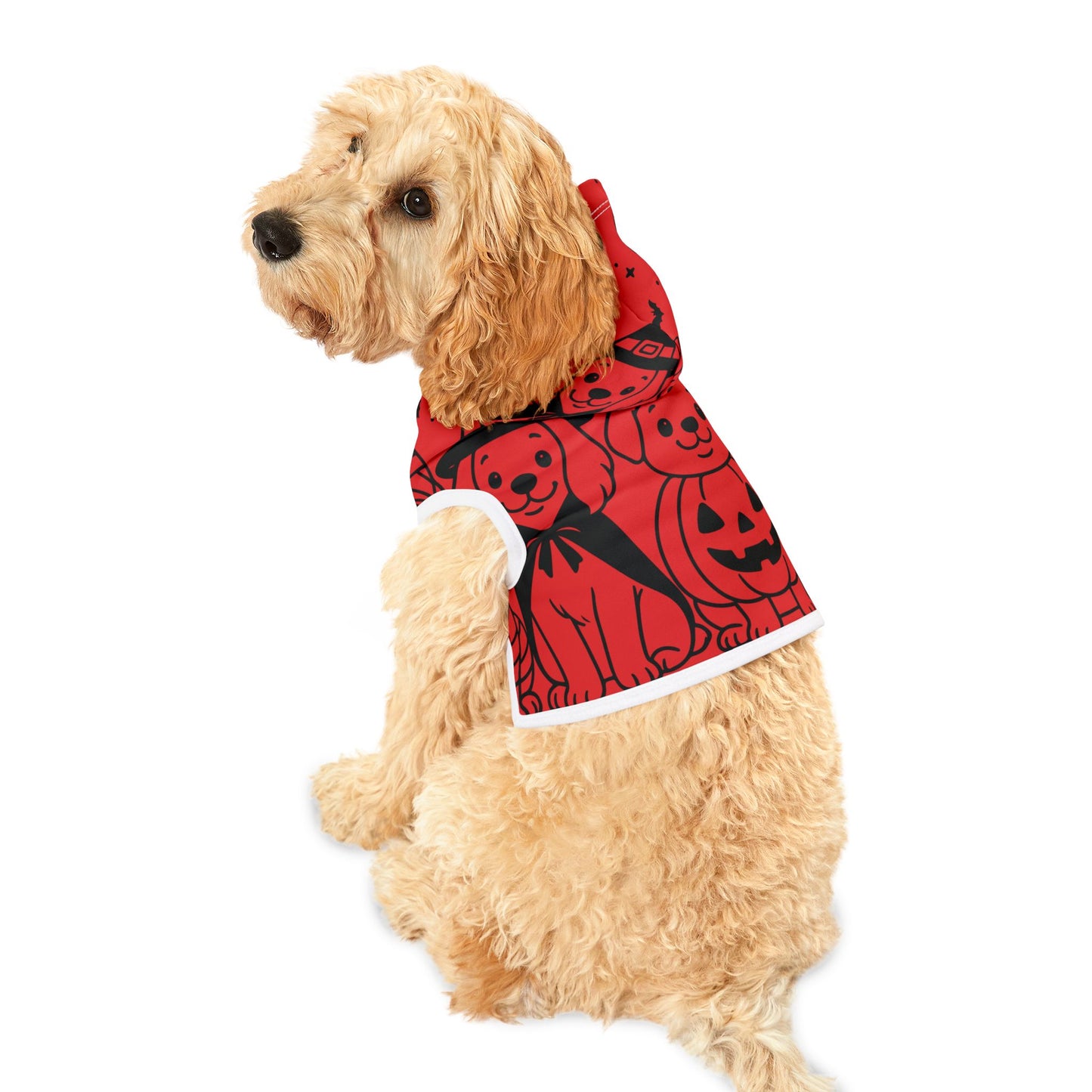Halloween Dog Hoodie – Spooky & Cute Costume for Dogs (5 Colors)