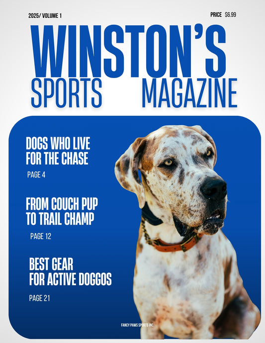 Sports Custom Dog Magazine Cover - Poster or Canvas – For the Active Dog