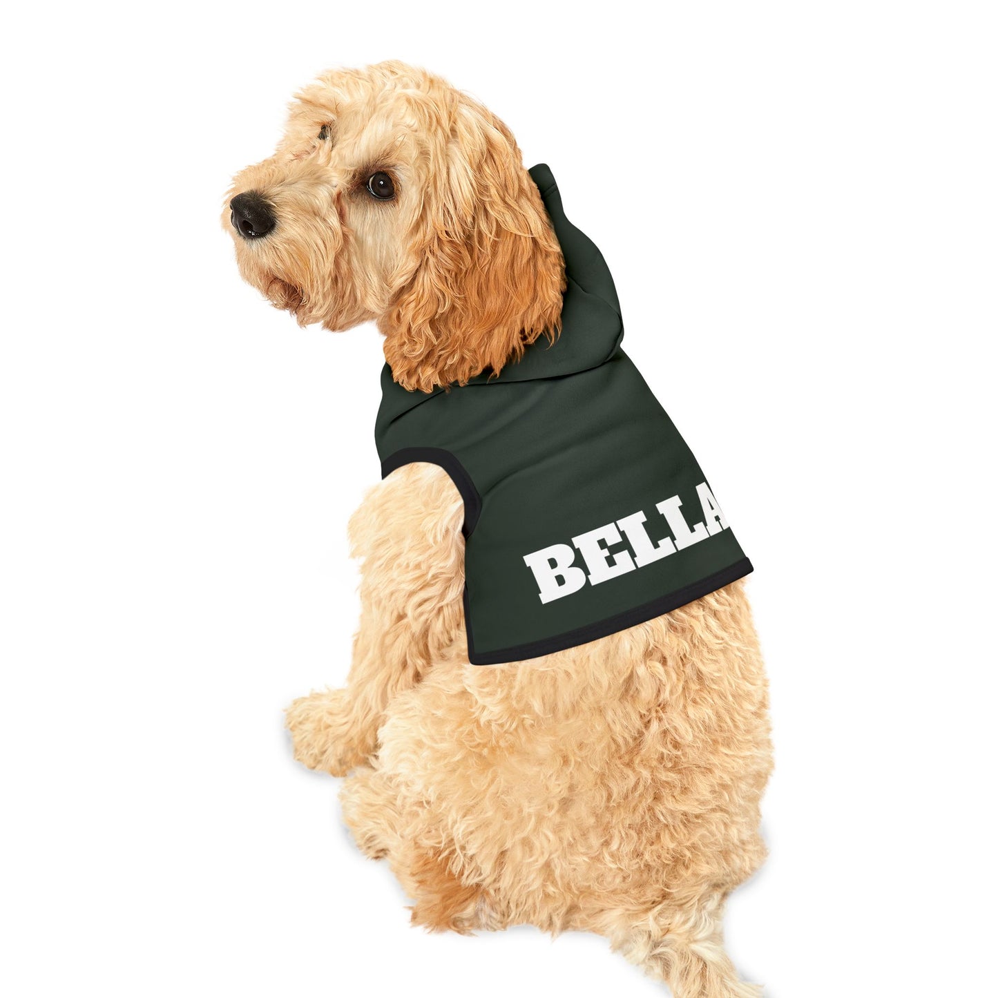 Custom Dog Hoodie with Name – 10 Bold Colors, 3 Sizes