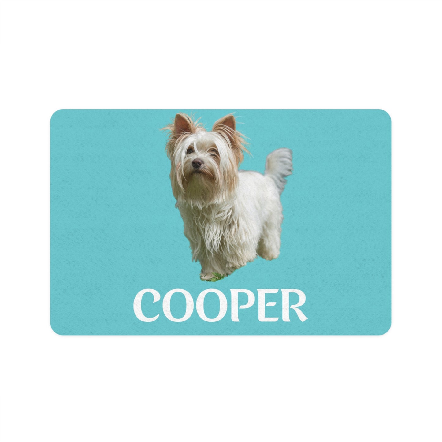 A Colorful Custom Mealtime Set Made Just for Your Dog