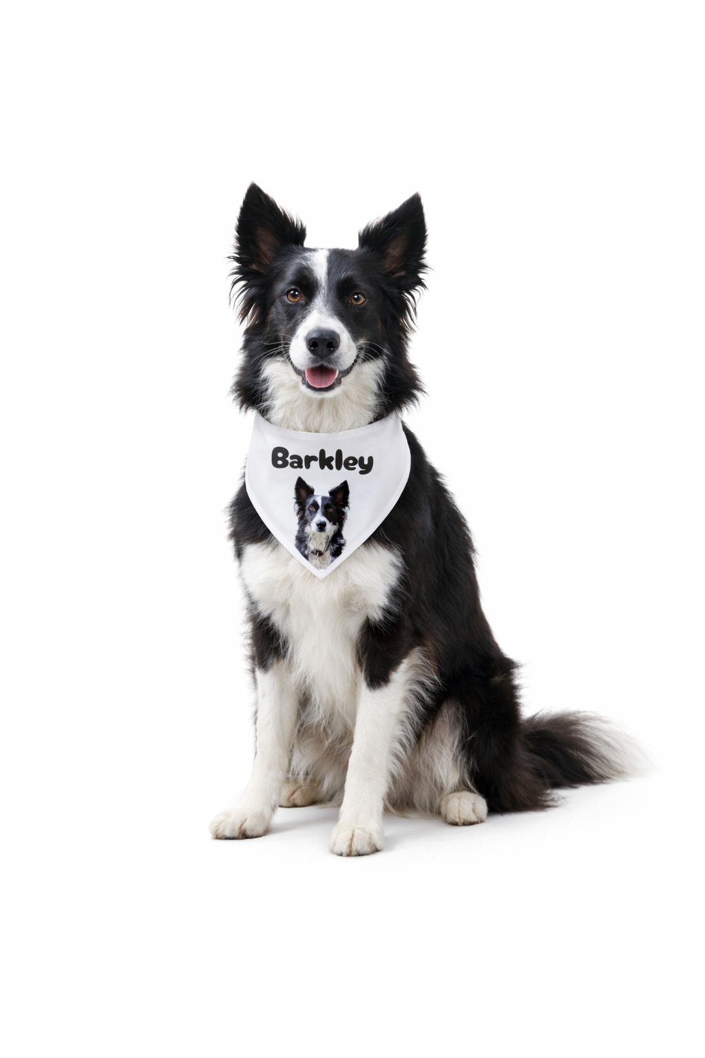 Personalized Dog Photo & Name Bandana – 8 colors, 4 fonts