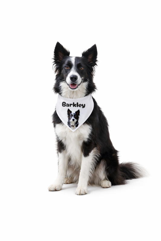 Personalized Dog Photo & Name Bandana – 8 colors, 4 fonts