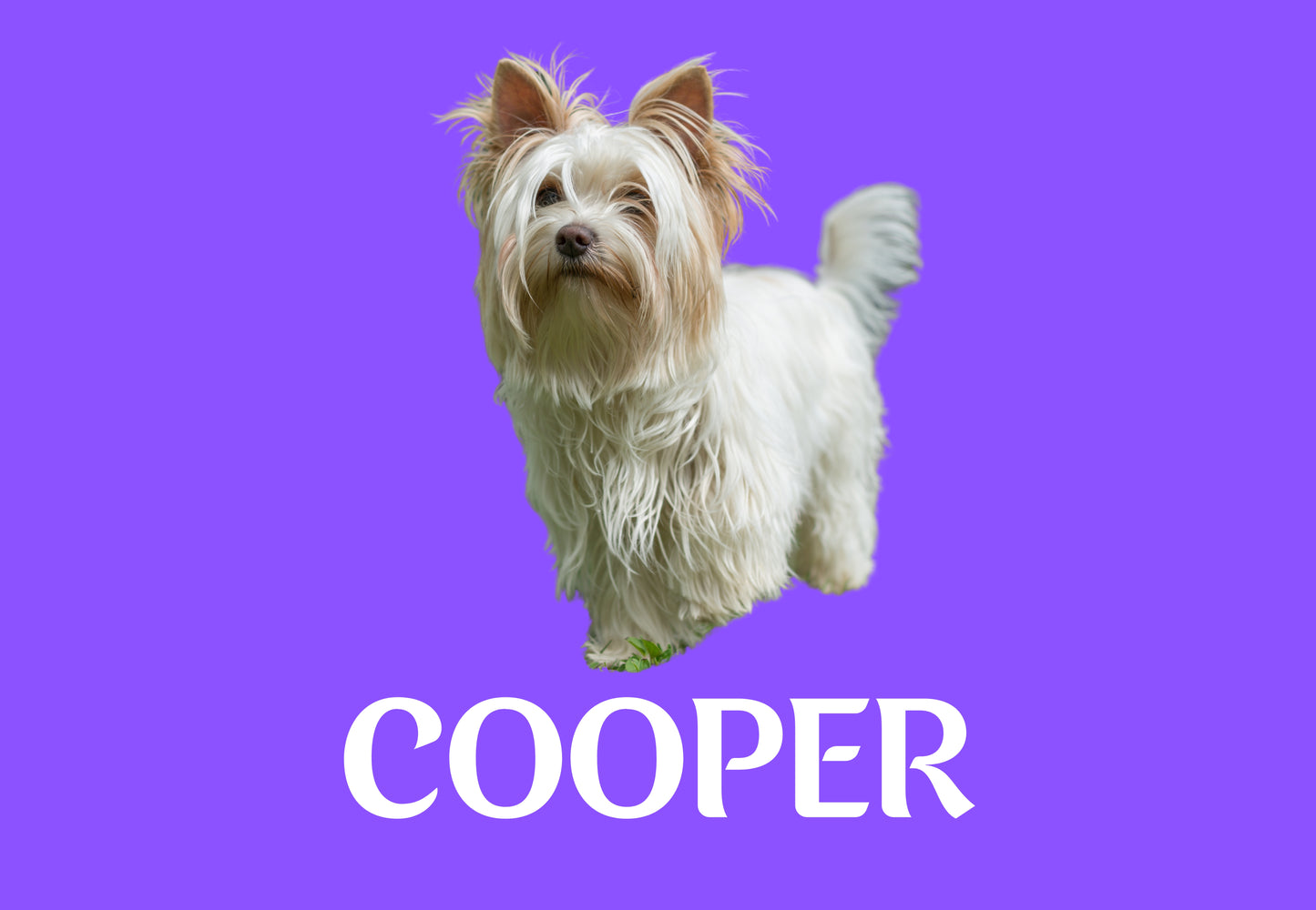 Custom Dog Placemat with Photo & Name – 12 Color Options