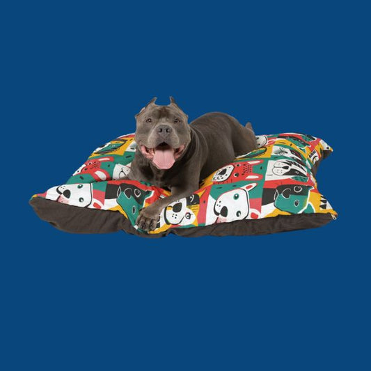 A Bed as Fun as Your Pup!
