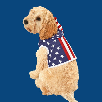 Dog wearing a American flag sweater on a blue background