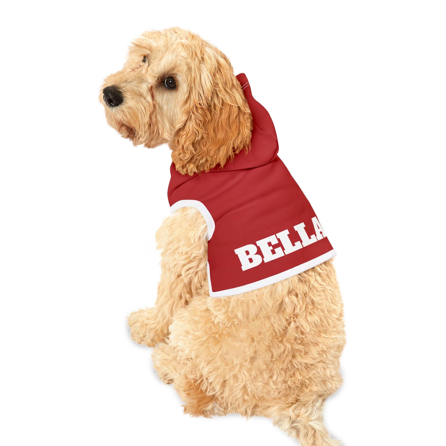 Custom Dog Hoodie with Name – 10 Bold Colors, 3 Sizes
