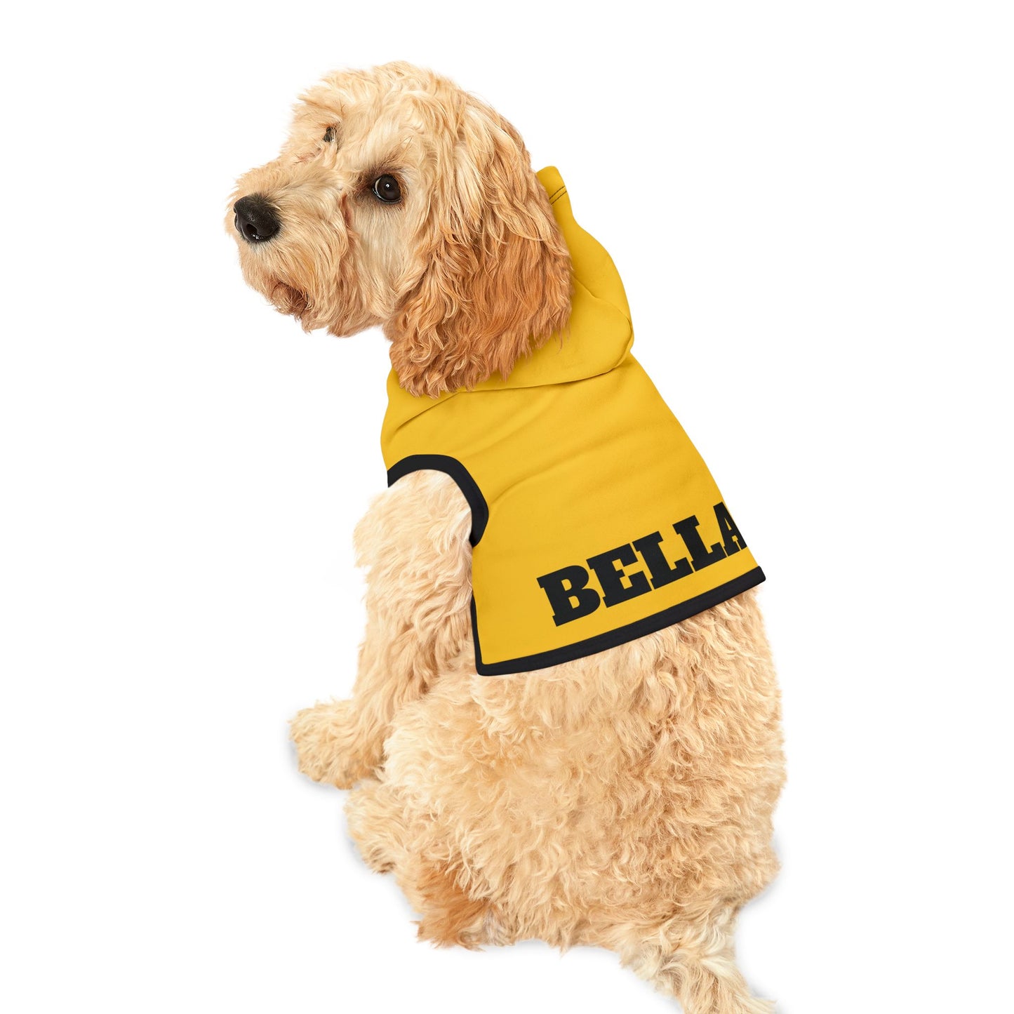 Custom Dog Hoodie with Name – 10 Bold Colors, 3 Sizes
