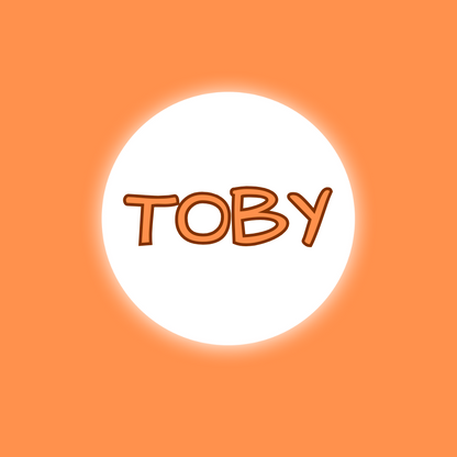 Custom Retractable Dog Leash – Personalized Name, 8 Color Options