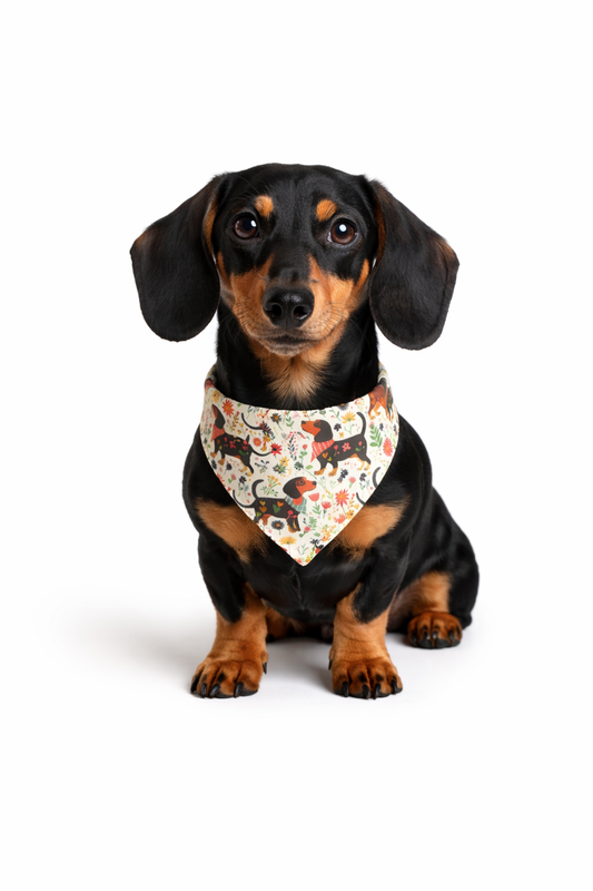 Floral Dachshund Dog Bandana – Patterned Sausage Dog Pet Scarf