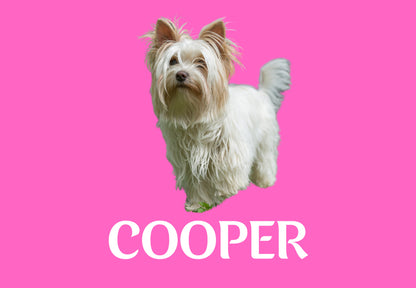 Custom Dog Placemat with Photo & Name – 12 Color Options