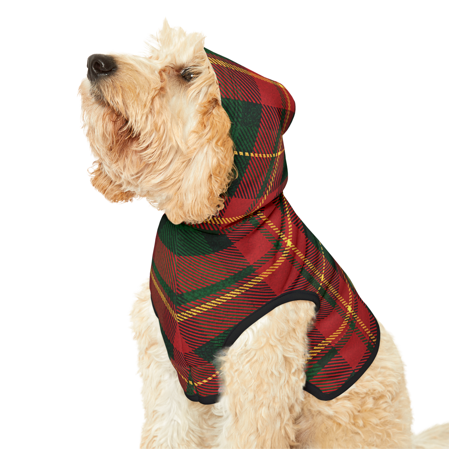 Custom Dog Name Plaid Hoodie