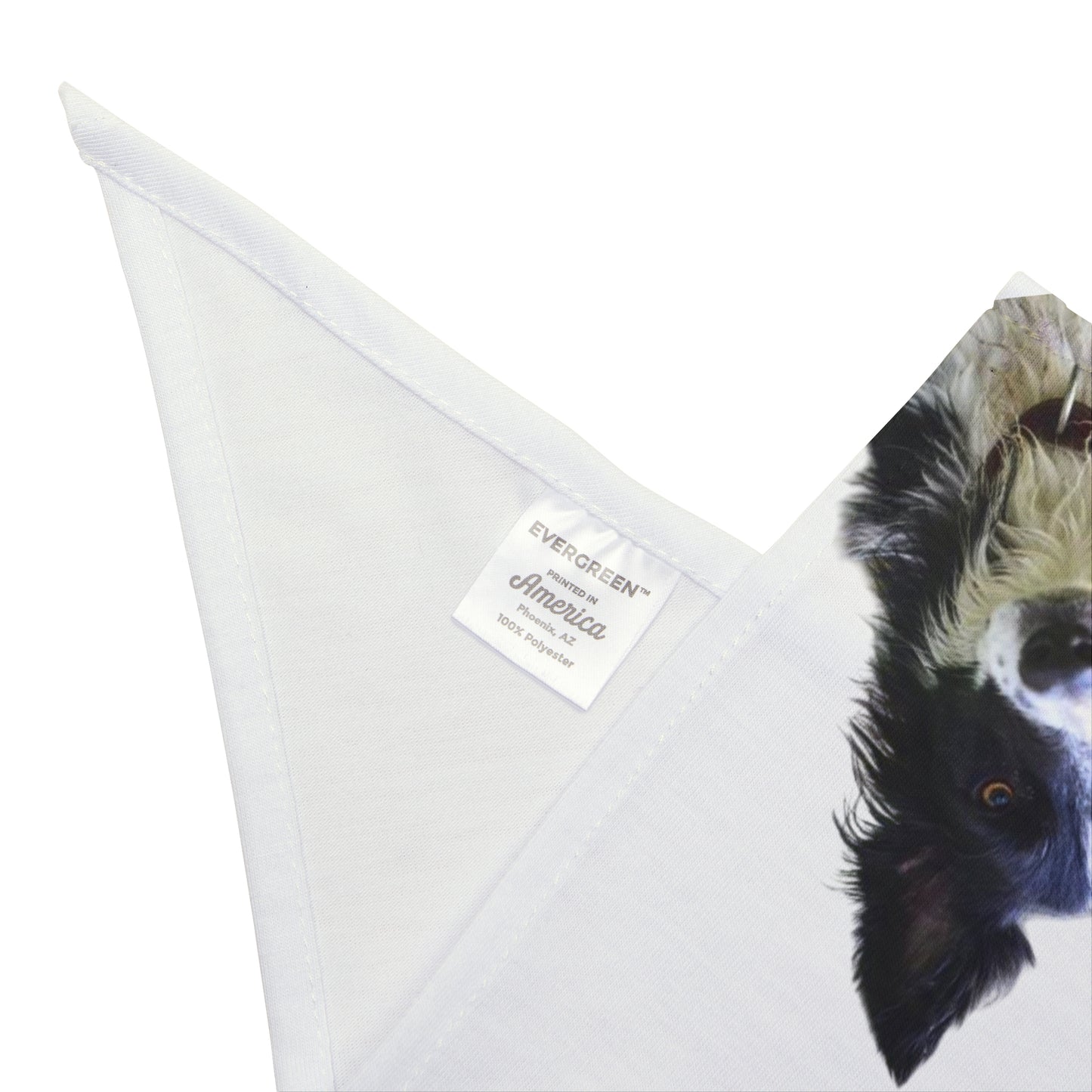 Personalized Dog Photo & Name Bandana – 8 colors, 4 fonts